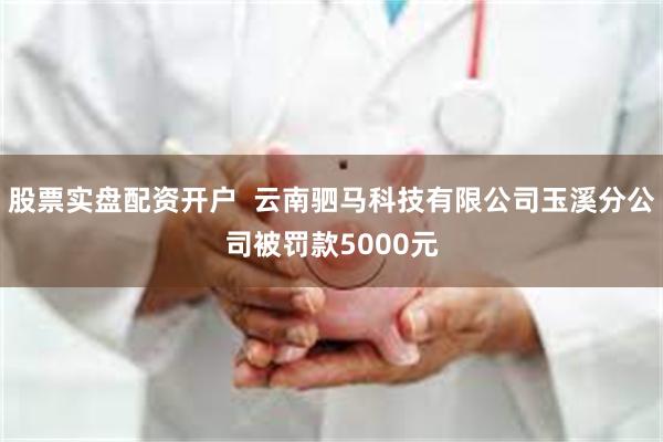 股票实盘配资开户  云南驷马科技有限公司玉溪分公司被罚款5000元