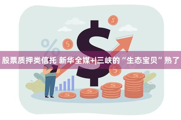 股票质押类信托 新华全媒+|三峡的“生态宝贝”熟了