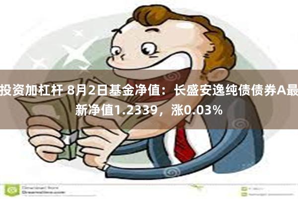 投资加杠杆 8月2日基金净值：长盛安逸纯债债券A最新净值1.2339，涨0.03%