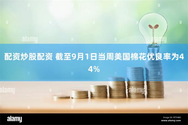 配资炒股配资 截至9月1日当周美国棉花优良率为44%