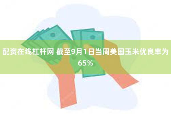 配资在线杠杆网 截至9月1日当周美国玉米优良率为65%