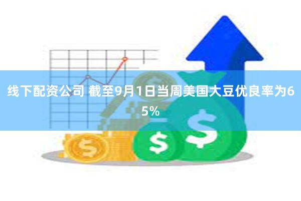 线下配资公司 截至9月1日当周美国大豆优良率为65%