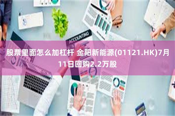 股票里面怎么加杠杆 金阳新能源(01121.HK)7月11日回购2.2万股