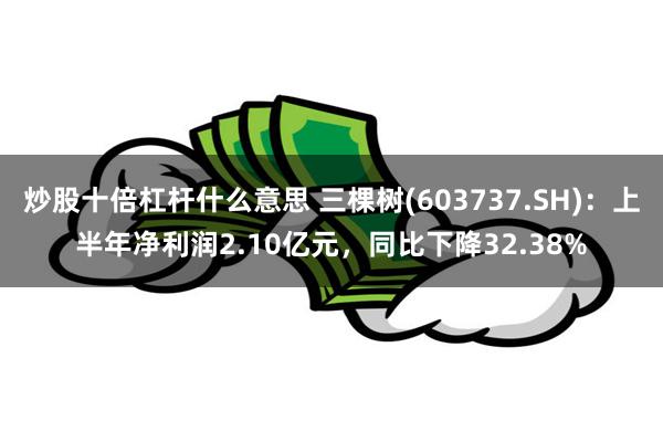 炒股十倍杠杆什么意思 三棵树(603737.SH)：上半年净利润2.10亿元，同比下降32.38%