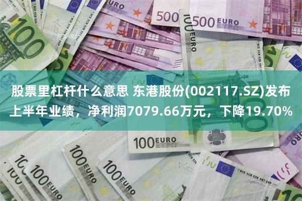 股票里杠杆什么意思 东港股份(002117.SZ)发布上半年业绩，净利润7079.66万元，下降19.70%