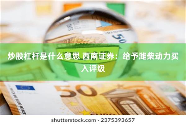 炒股杠杆是什么意思 西南证券：给予潍柴动力买入评级