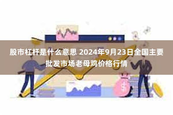 股市杠杆是什么意思 2024年9月23日全国主要批发市场老母鸡价格行情