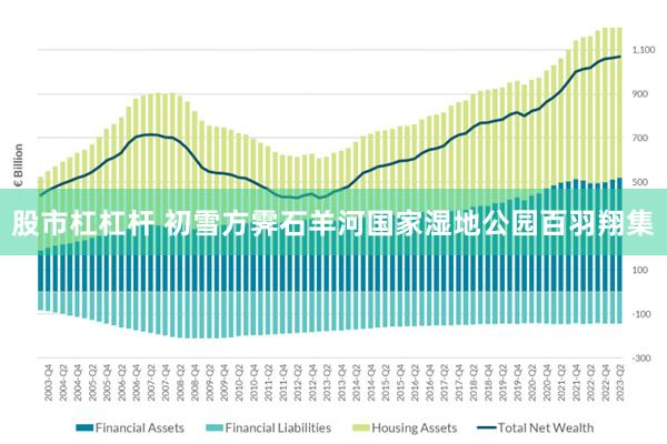 股市杠杠杆 初雪方霁　石羊河国家湿地公园百羽翔集