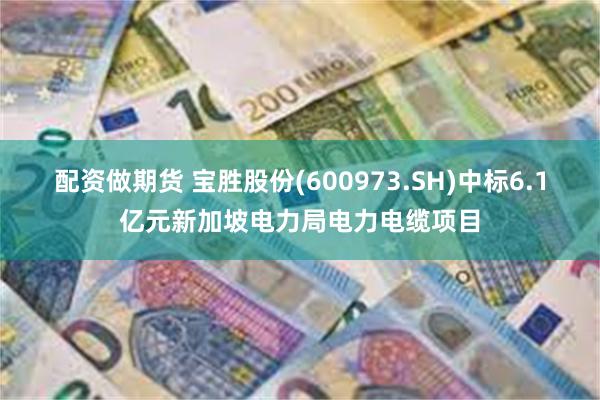 配资做期货 宝胜股份(600973.SH)中标6.1亿元新加坡电力局电力电缆项目