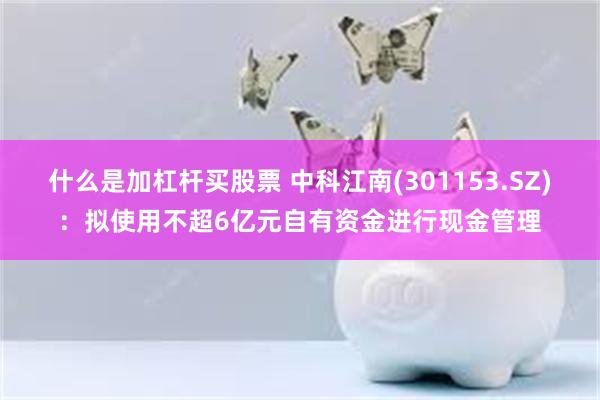 什么是加杠杆买股票 中科江南(301153.SZ)：拟使用不超6亿元自有资金进行现金管理