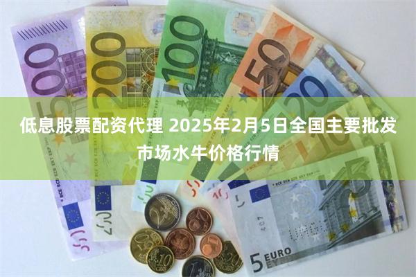 低息股票配资代理 2025年2月5日全国主要批发市场水牛价格行情